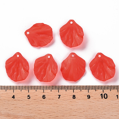 Transparent Frosted Acrylic Pendants MACR-S371-01A-712-1