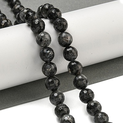 Natural Larvikite Beads Strands G-E571-A09-03-1