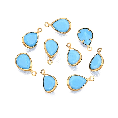 K9 Glass Charms GLAA-T023-10D-1