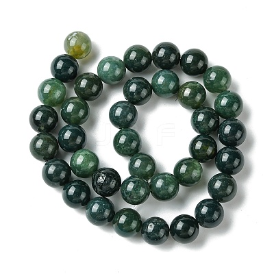 Natural Moss Agate Beads Strands GSR10mmC001-1