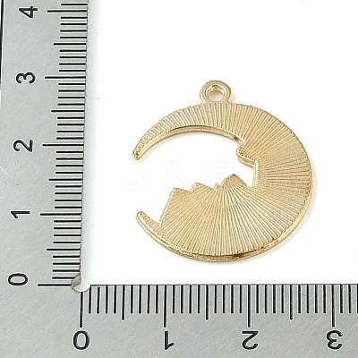 Tarot Style Alloy Eanaml Pendants PALLOY-S184-02G-B-1