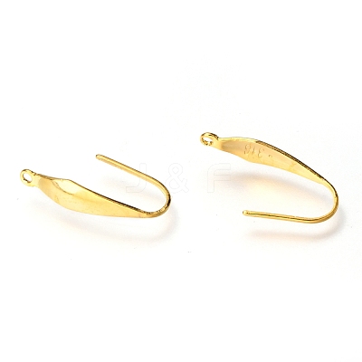 316 Stainless Steel Earring Hooks STAS-Z034-10G-1