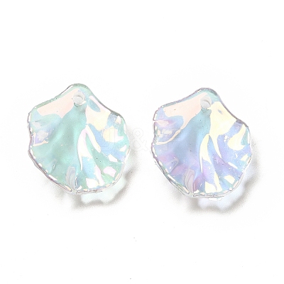 Transparent Acrylic Pendants X-MACR-C009-06-1