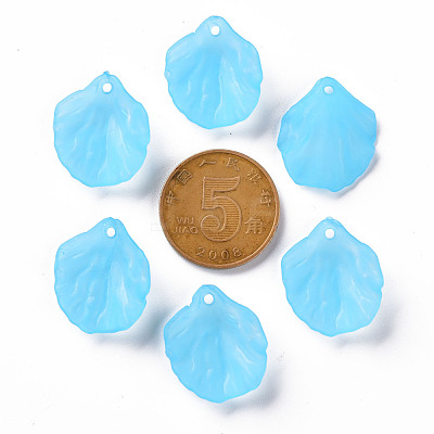 Transparent Frosted Acrylic Pendants MACR-S371-01A-755-1