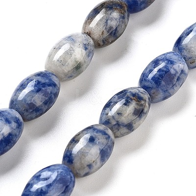 Natural Blue Spot Jasper Beads Strands G-B106-B29-01-1