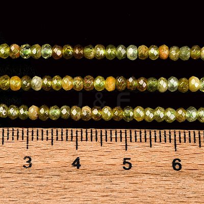 Faceted Rondelle Natural Green Garnet Beads Strands G-F289-40B-1