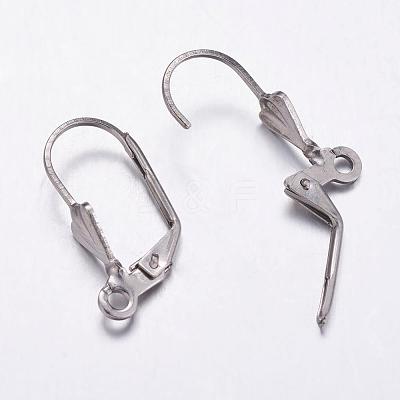 Tarnish Resistant 304 Stainless Steel Hoop Earrings STAS-K146-037-19.5mm-1