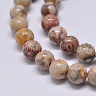 Natural Maifanite/Maifan Stone Beads Strands X-G-F353-10mm-1