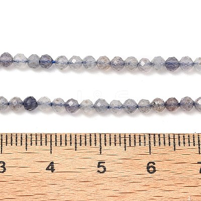Natural Cordierite/Iolite/Dichroite Beads Strands G-B145-A04-3mm-1