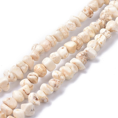 Natural Magnesite Beads Strands X-TURQ-P001-02A-11-1