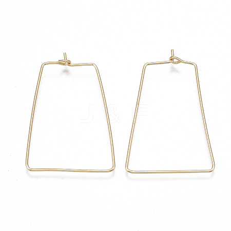 Brass Earring Hooks KK-T038-425G-1