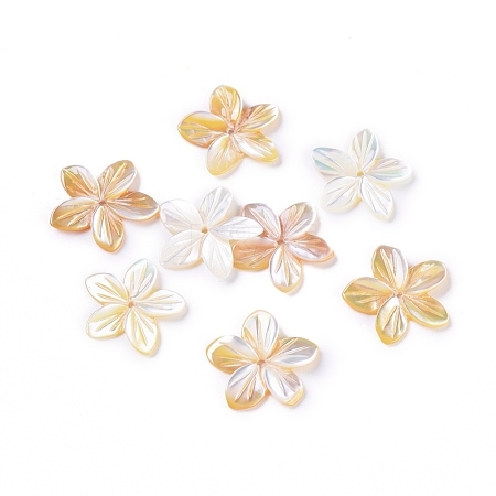 Natural Sea Shell Beads BSHE-L043-20-1