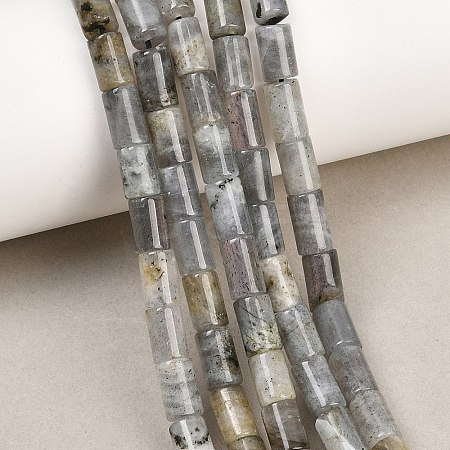Natural Labradorite Beads Strands G-F832-B10-01-1