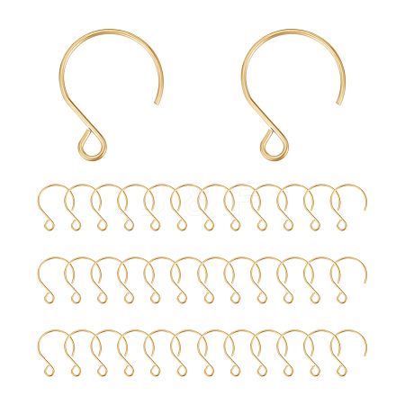 Ion Plating(IP) 304 Stainless Steel Earring Hooks STAS-UN0058-96G-1