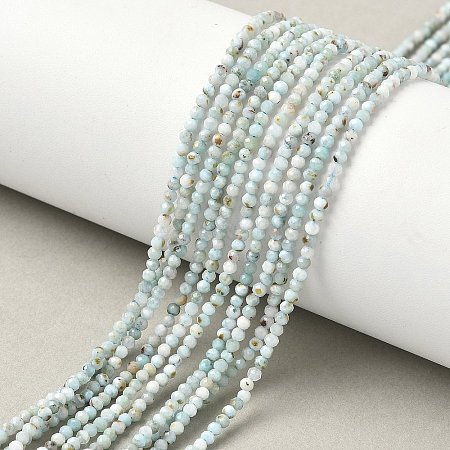 Natural Larimar Beads Strands G-L627-A01-2mm-1