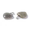 Natural Labradorite Pendants G-G956-B24-FF-3