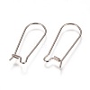 Tarnish Resistant 304 Stainless Steel Hoop Earrings Findings Kidney Ear Wires LS-STAS-L216-22B-P-2