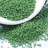 MIYUKI Delica Beads X-SEED-J020-DB0163-1