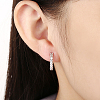 Cubic Zirconia Brass Hoop Earrings EJEW-BB14966-B-6