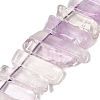 Natural Amethyst Beads Strands G-S386-D04-2