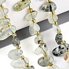 Natural Prehnite Beads Strands G-Z091-A44-1
