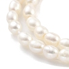 Natural Cultured Freshwater Pearl Beads Strands PEAR-P062-03C-4