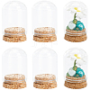 SUNNYCLUE Clear Glass Dome Cover CON-SC0001-03A-1