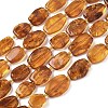 Natural Amber Beads Strands G-L095-C01-04-2