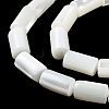 Natural Trochus Shell Beads Strands BSHE-Z003-18-3