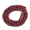 Natural Garnet Beads Strands G-K376-B06-01-3