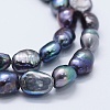 Natural Cultured Freshwater Pearl Beads Strands PEAR-K004-02B-3