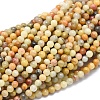 Natural Crazy Lace Agate Beads Strands G-A177-04-20-1