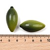 Fruit Series Opaque Resin Beads RE-CBAC4C7-11F-3