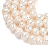 Natural Cultured Freshwater Pearl Beads Strands PEAR-L034-10A-3