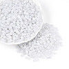 6/0 Glass Seed Beads SEED-N008-07N-1