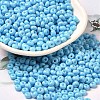 Baking Paint Glass Seed Beads SEED-B001-02A-12-1