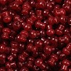 Transparent Colours Glass Seed Beads SEED-R001-01E-2