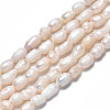 Natural Cultured Freshwater Pearl Beads Strands LS-PEAR-N012-03C-3