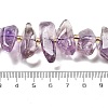 Natural Amethyst Beads Strands G-C179-D01-01-5