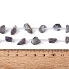 Electroplate Raw Rough Natural Amethyst Beads Strands G-Q610-06D-5