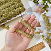 Nylon & Gold Metallic Lace Trim OCOR-WH0070-225A-3