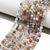 Natural Botswana Agate Beads Strands G-G143-A02-02-2