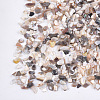 Shell Beads X-MRMJ-S034-08-2