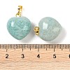 Natural Amazonite Pendants G-J386-H16-G-3