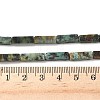 Natural African Turquoise(Jasper) Beads Strands G-G837-02-2