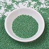 MIYUKI Delica Beads SEED-X0054-DB0877-2
