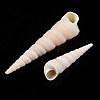 Natural Spiral Shell Beads SSHEL-S266-030-5