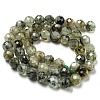 Natural Prehnite Beads Strands X-G-G457-8mm-03F-01-4