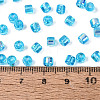 FGB Transparent Colours Glass Seed Beads SEED-Q040-07A-B05-4