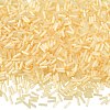 50g Glass Bugle Beads SEED-SZ0001-024G-1